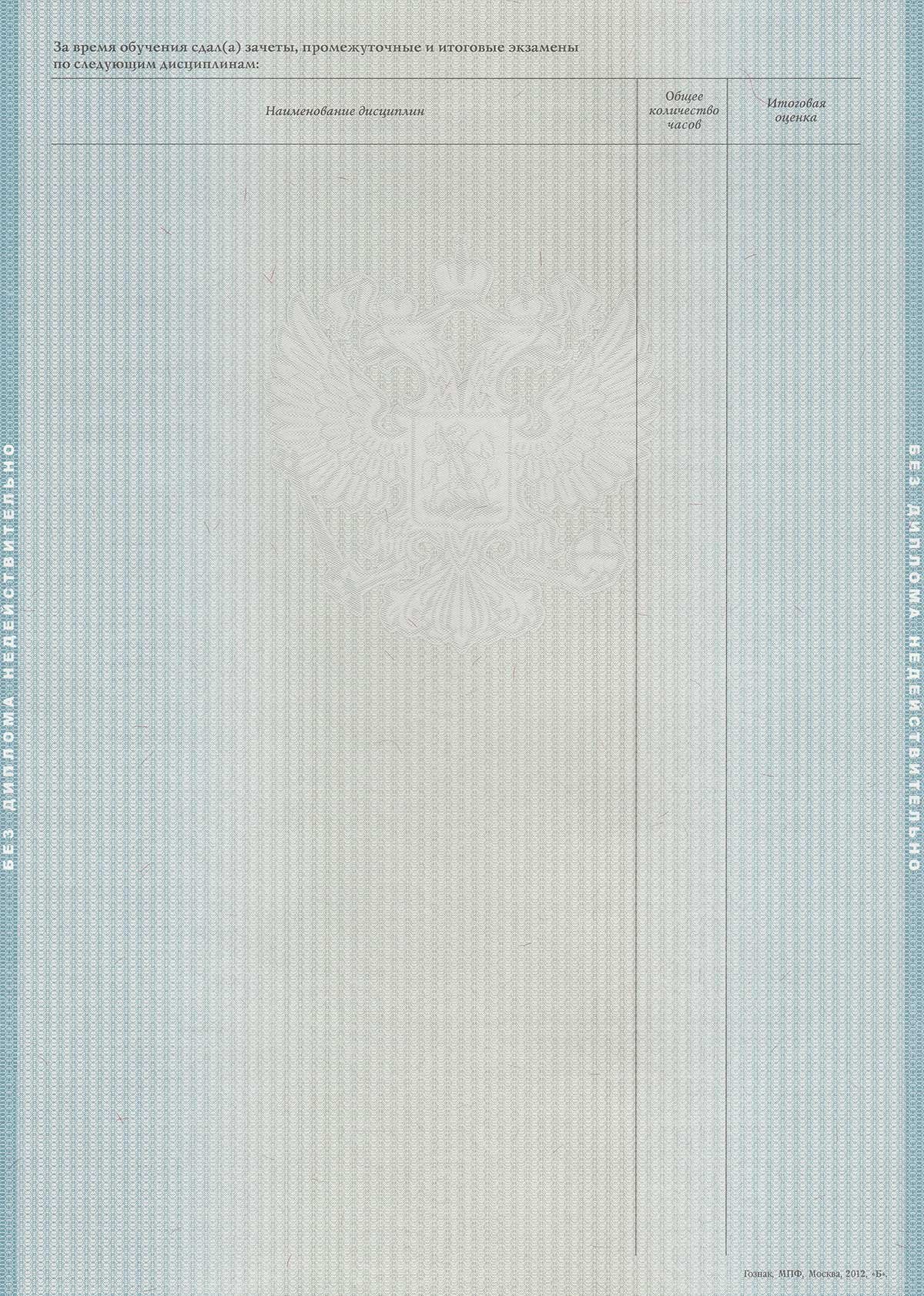 Диплом специалиста 2011-2013 год 