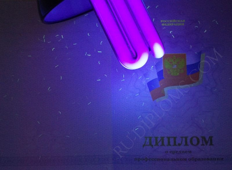 Диплом техникума или колледжа 2011-2013 год 