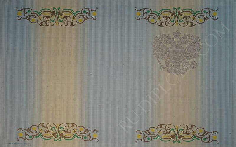 Диплом бакалавра 2010-2013 год  